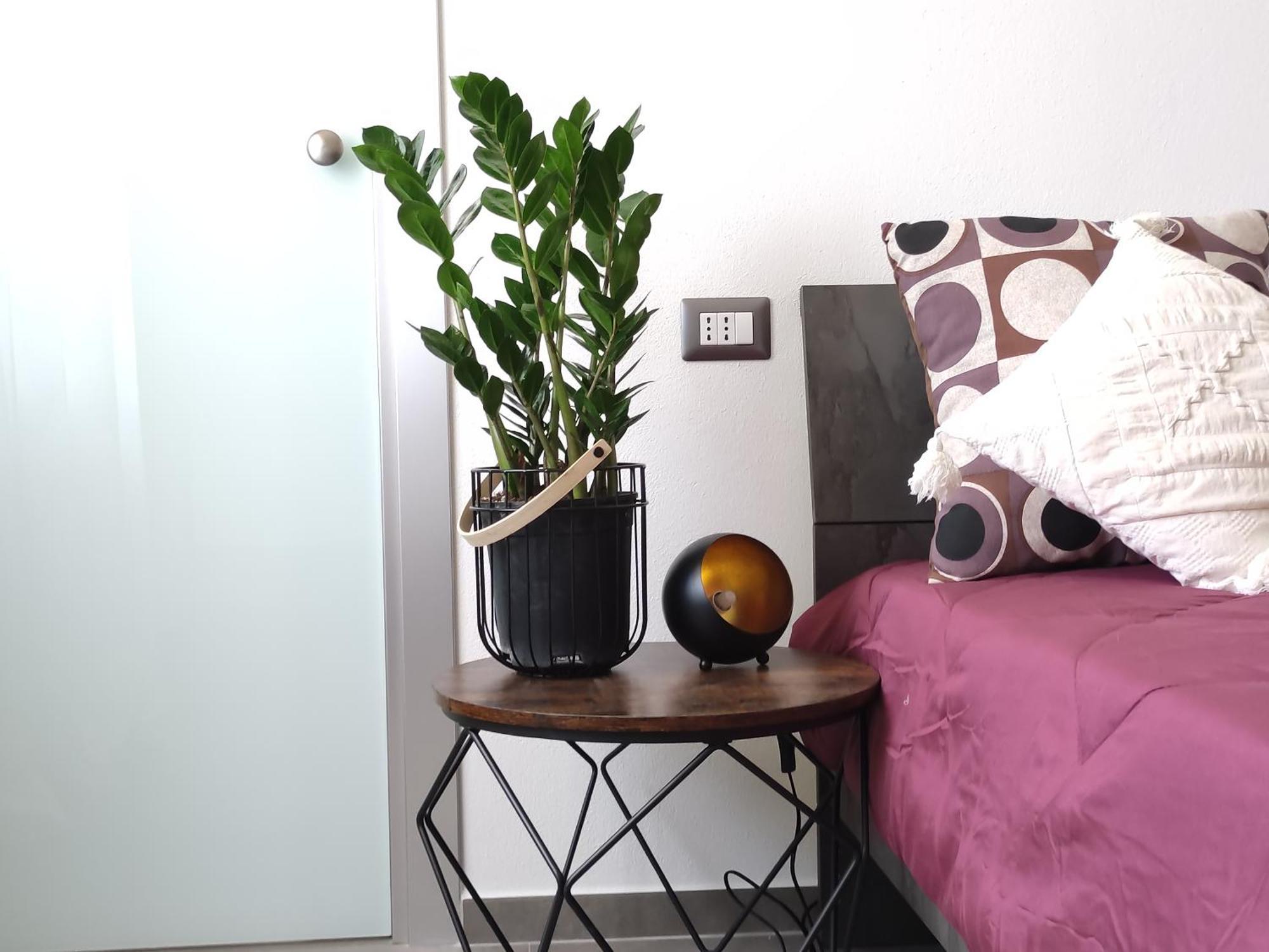 Bb Guest House Ogliastra ตอร์โตลี ภายนอก รูปภาพ